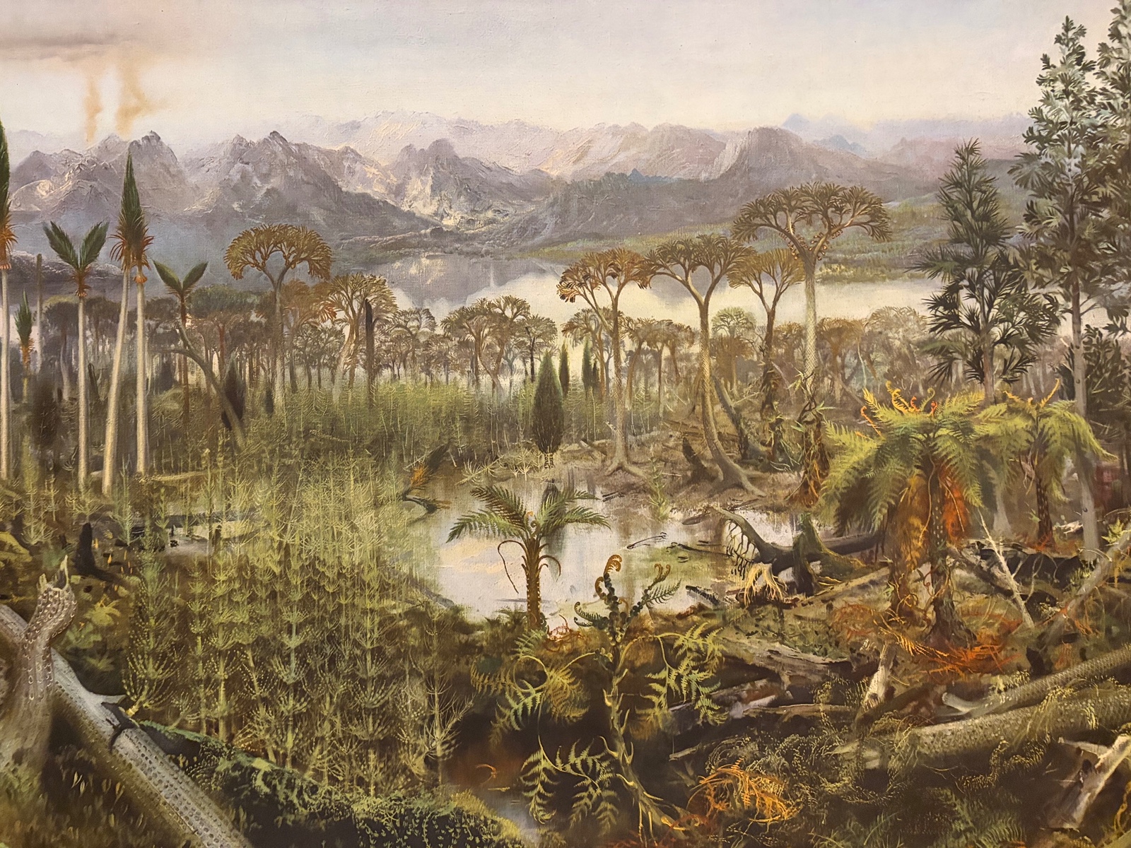 Zdeněk Burian 1905 - 1981 - Kamenouhelný prales