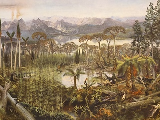 Zdeněk Burian 1905 - 1981 - Kamenouhelný prales