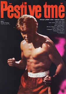 Zdeněk Vlach 1942 - 1999 - Pěsti ve tmě