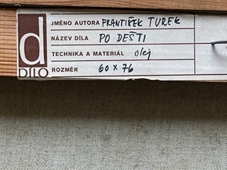František Turek (1916 - 2008) - Po dešti