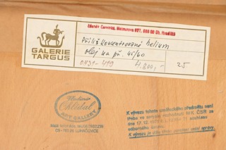 Zdeněk Červinka (1928 – 2016) - Příliš koncentrované helium