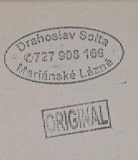 Drahoslav Šolta (1960) - Městský motiv