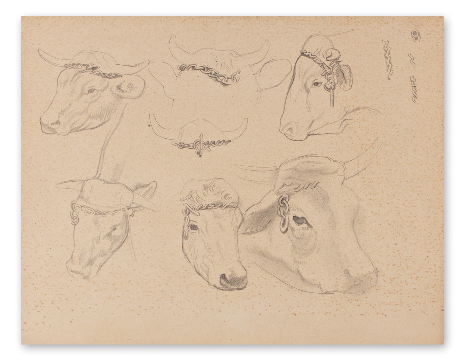 Svatopluk Máchal (1895 - 1947) - Studie kravské hlavy