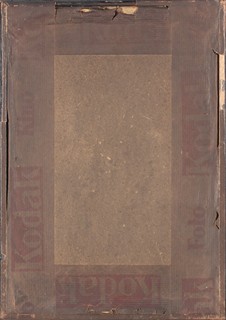 L. Brückner - Disharmonie