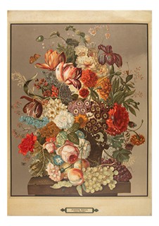 Josef Nigg (1782 - 1863) - Šest květinových zátiší