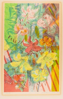 Dušan John (1925) - Lilie