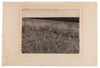 Jan Otava (1950) - Obilí