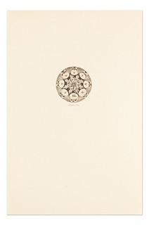 Různí autoři (Jiřincová, Cinybulk, Kotrba, Oberthor ...) - Pražská exlibris básníků