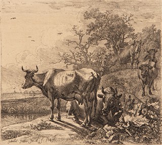 Paulus Potter (1625 - 1654) - Na pastvě