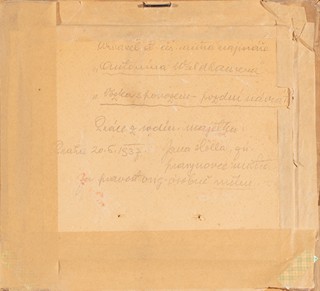 Antonín Waldhauser (1835 - 1913) - Vozka s povozem