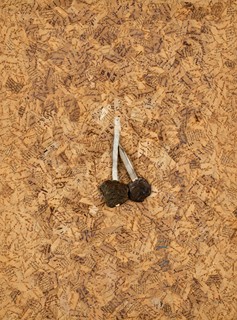 Item 135