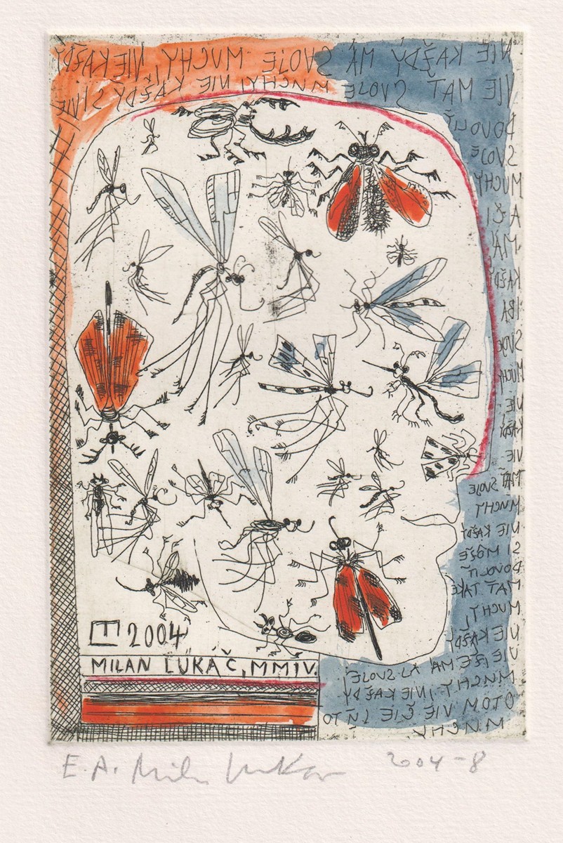 Milan Lukáč (1962) - Komáři