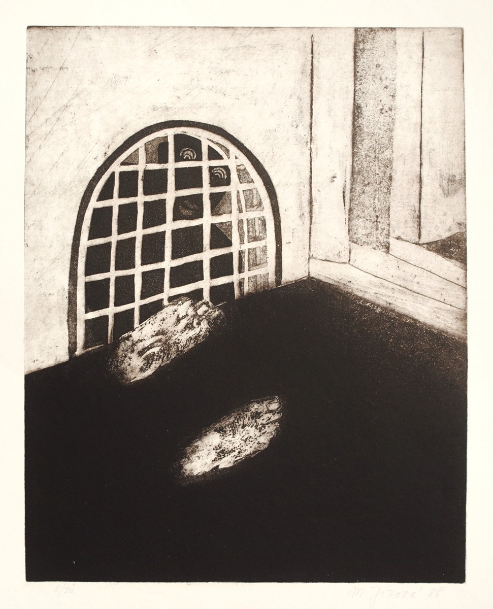 Markéta Jírová (1957) - Setkání
