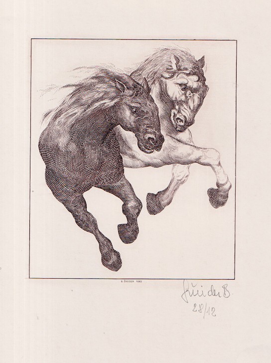 Bohumil Šneider (1936) - Koně