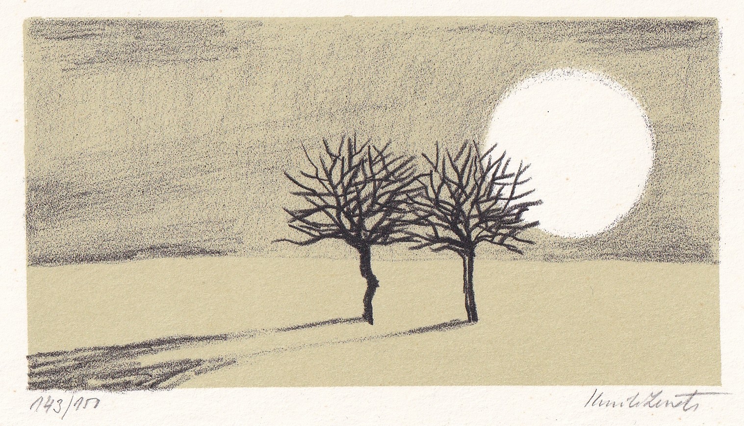 Kamila Ženatá (1953) - Stromy