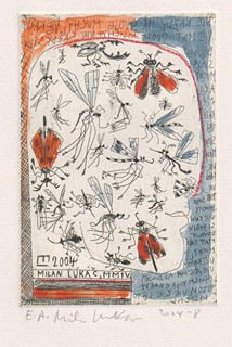 Milan Lukáč (1962) - Komáři