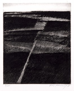 Emanuel Ranný (1943) - Pole