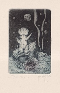 Zdenek Bugáň (1957) - Torzo noci