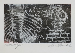 Oldřich Hamera (1943 - 2021) - Fosilie