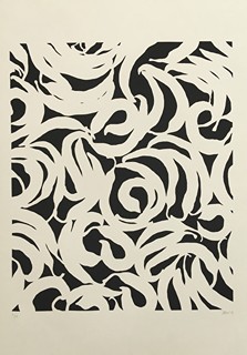 Pavel Hayek (1959) - Linie