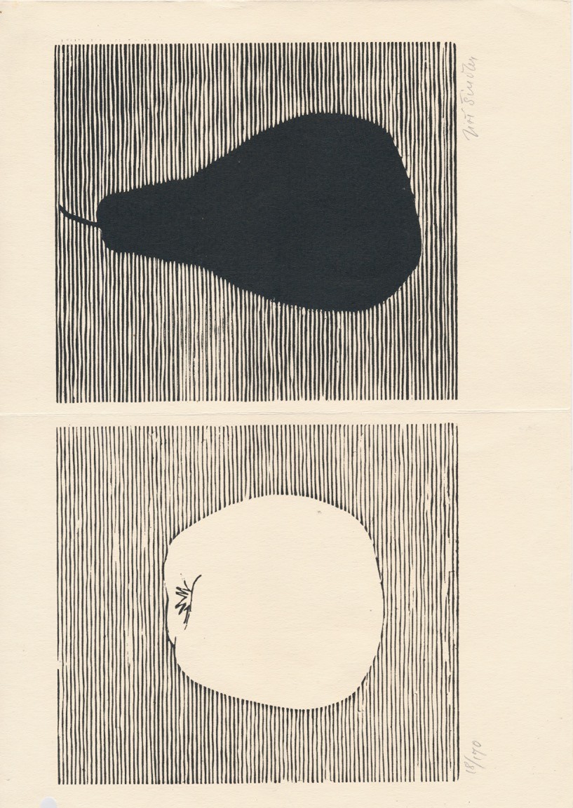 Jiří Šindler (1938 – 2022) - Ovoce