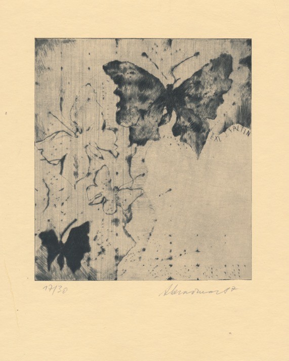 Alois Kračmar (1943) - Motýli