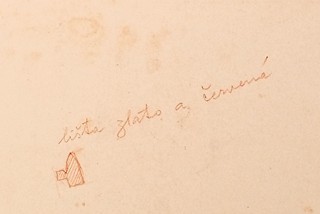 Joza Švasta (1890) - Krásná žena s nahými rameny