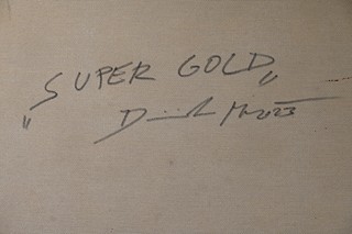 Dominik Mareš (1972) - Super gold