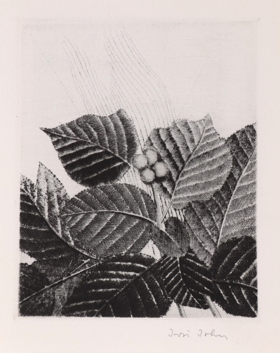 Jiří John (1923-1972) - Růst
