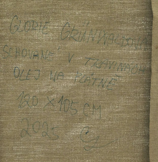 Glorie Grünwaldová (2000-) - Schované v travinách