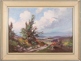 Ludva Dobeš (1914-1979) - Krajina