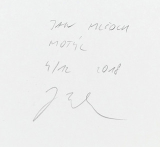 Jan Mlčoch (1979-) - Motýl