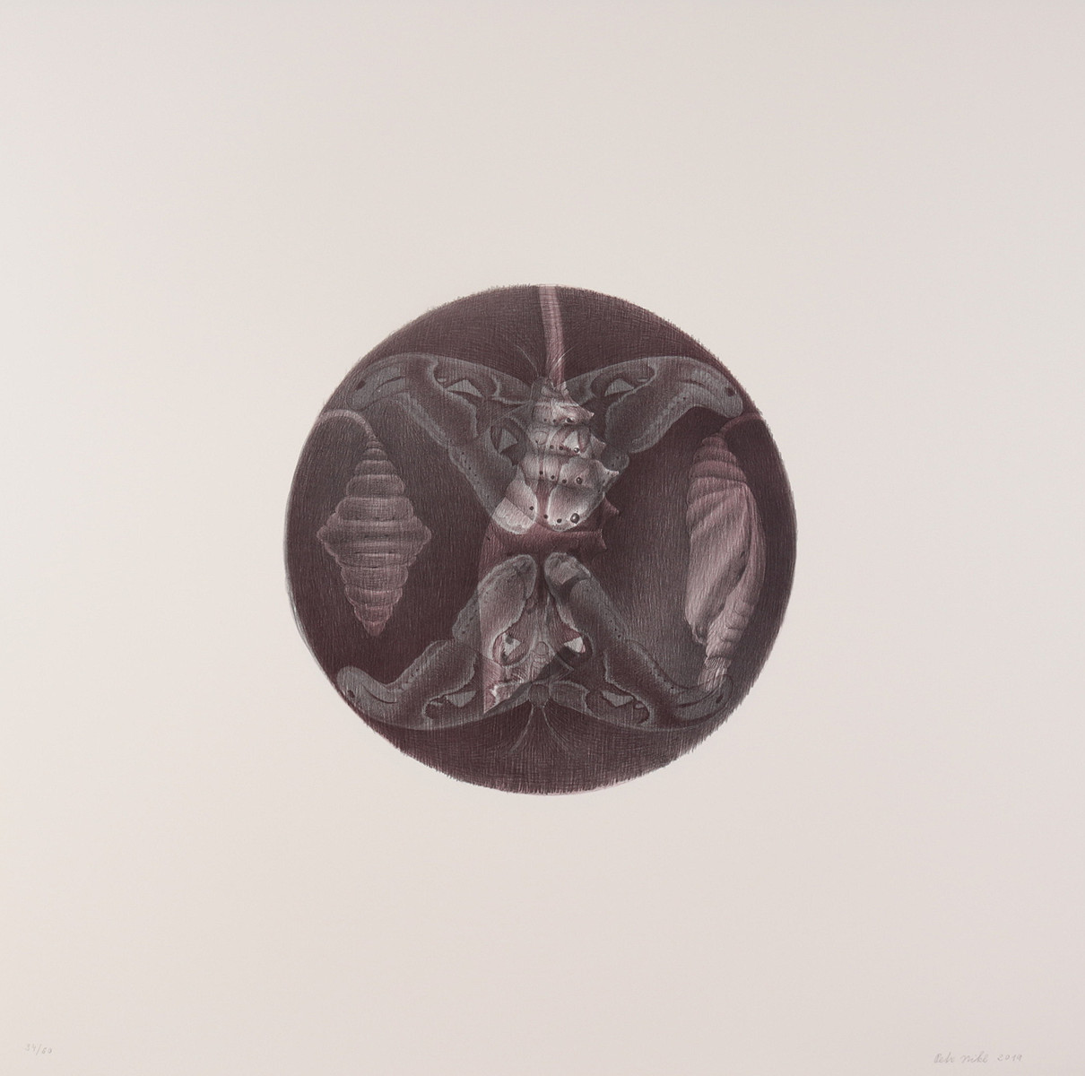 Petr Nikl (1960-) - Atlas velký: Hadí motýl III.