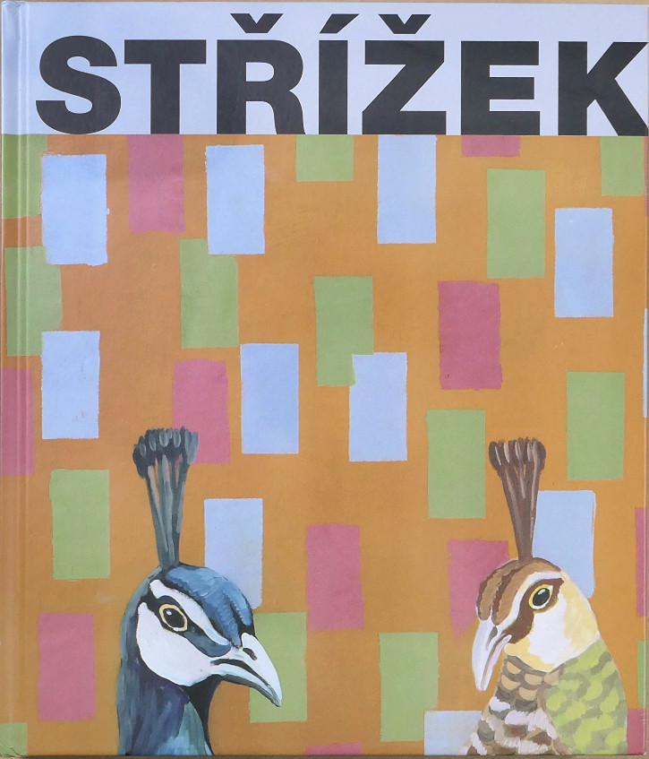 Antonín Střížek (1959-) - Obrazy Paintings