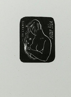 Rastislav Michal (1936-) - Zehn Kleine exlibris