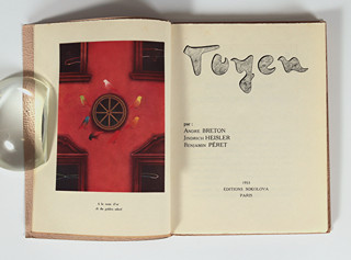 Toyen (1902-1980) - Toyen Katalog klasiků surrealismu