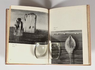 Toyen (1902-1980) - Toyen Katalog klasiků surrealismu