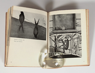 Toyen (1902-1980) - Toyen Katalog klasiků surrealismu
