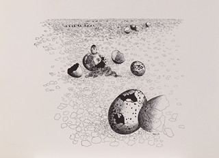 Item 34