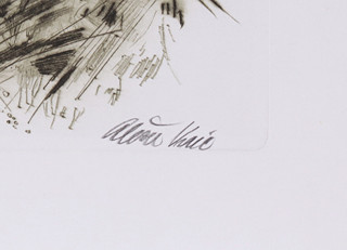 Aleša Vaic (1920-) - Ležící srnec