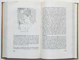 Toyen (1902-1980) - Heptameron novel