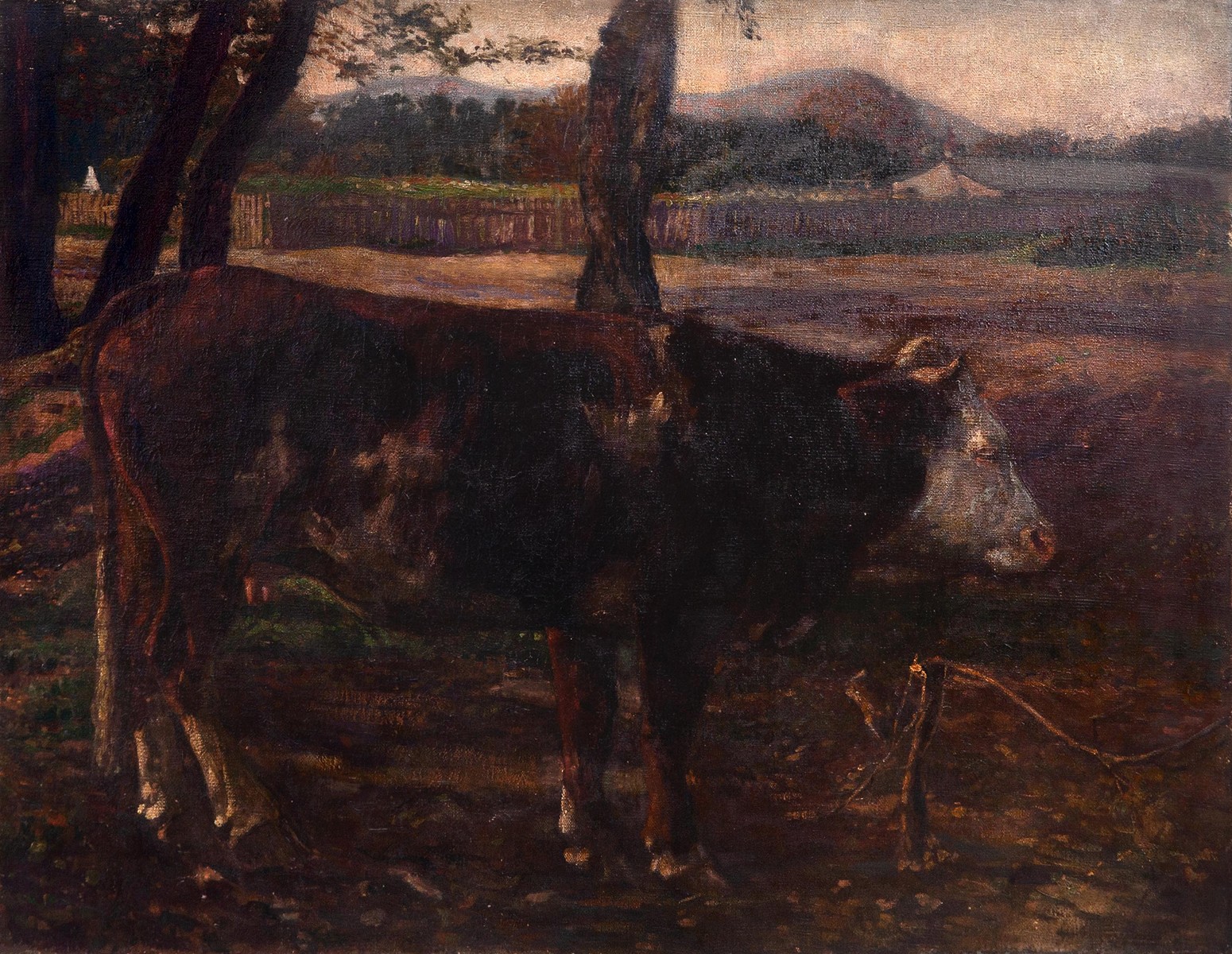 Antonín Hudeček (1872 - 1941) - Kráva