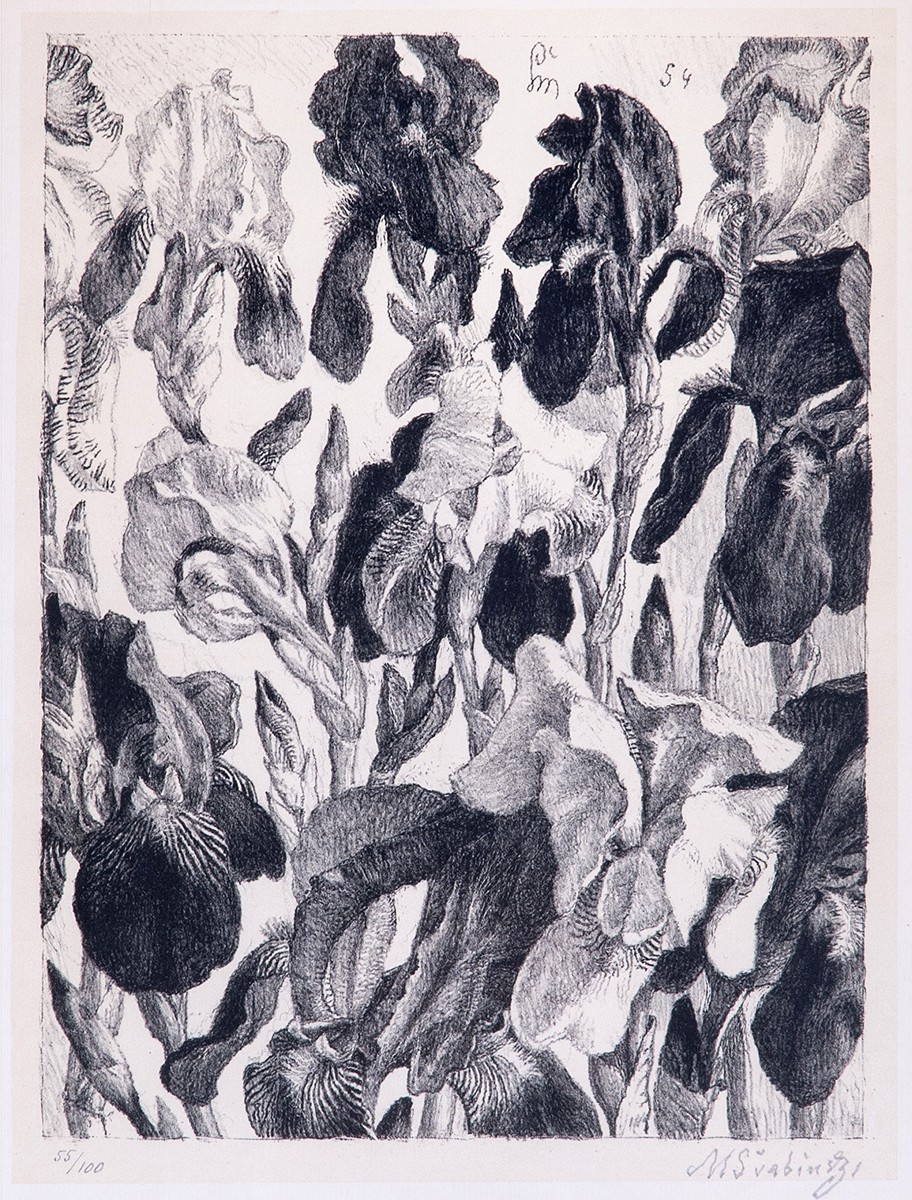Maxmilian Švabinský (1873 - 1962) - Kosatce