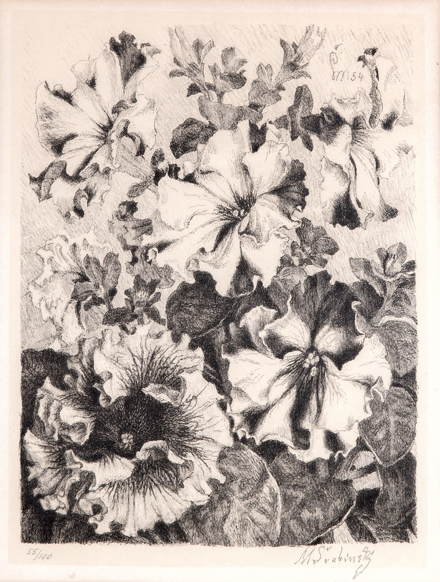 Maxmilian Švabinský (1873 - 1962) - Petúnie