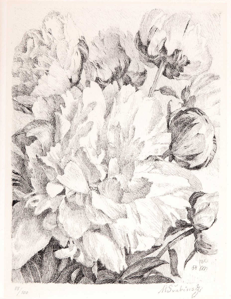 Maxmilian Švabinský (1873 - 1962) - Pivoňky