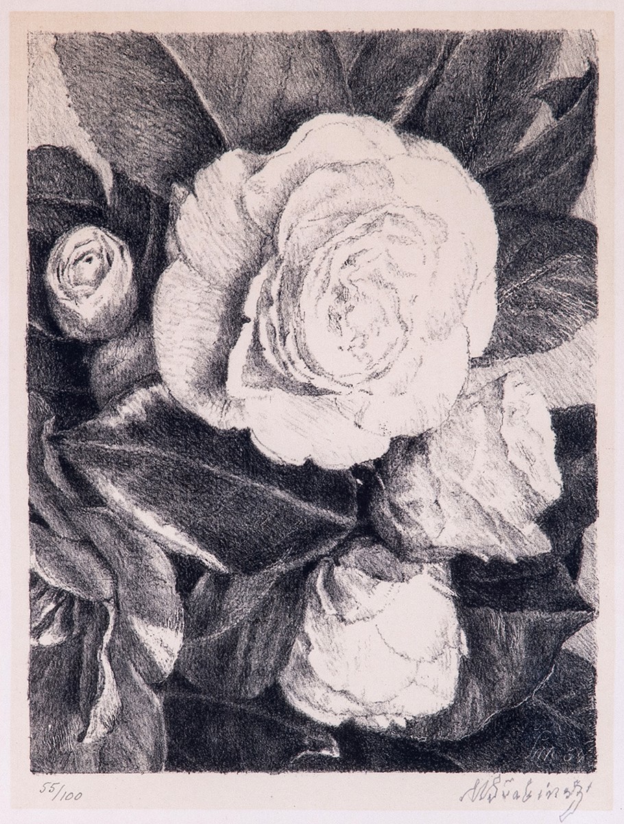 Maxmilian Švabinský (1873 - 1962) - Kamélie