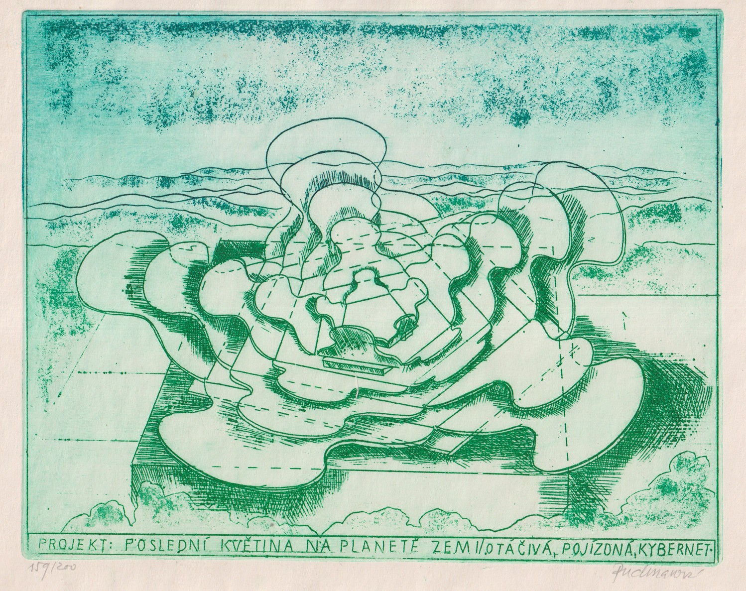Dana Puchnarová (1938 - 2025) - Poslední květina na planetě zemi