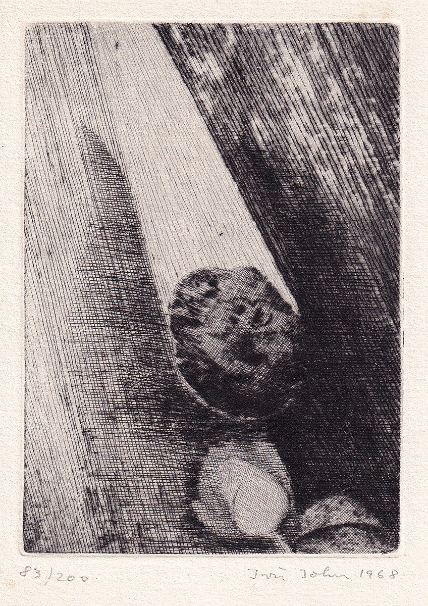 Jiří John (1923 - 1972) - Kámen a růže