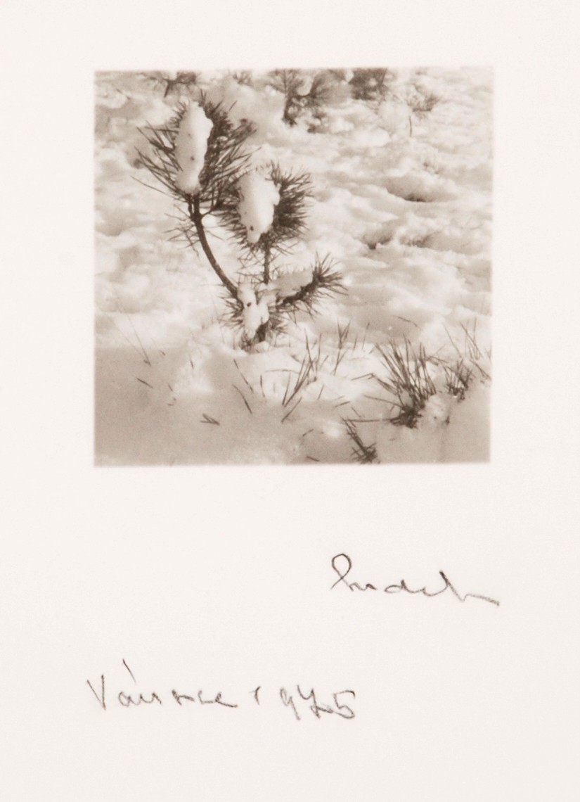 Josef Sudek (1896 - 1976) - Pod sněhem