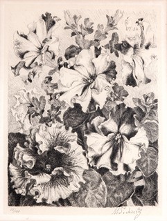 Maxmilian Švabinský (1873 - 1962) - Petúnie